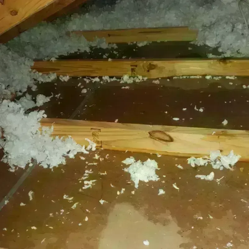 Attic Water Damage in Shandon, CA